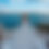 Thumbnail: BN-205