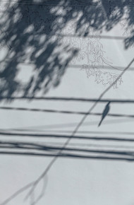 Captura de Tela 2023-05-01 às 18.25_edited.jpg