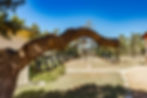 Welcome to Hope Farms Revelry & Retreat