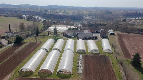 photo ferme site web.jpg