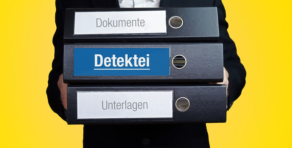 Due Diligence Investigations Swiss Detective Agency