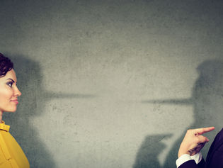 Investigations in cases of divorce litigation