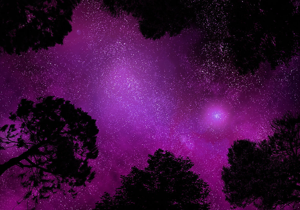 AdobeStock_76338224.jpeg