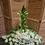 Miniature : Pied de tombe Vert/Blanc (CN113)