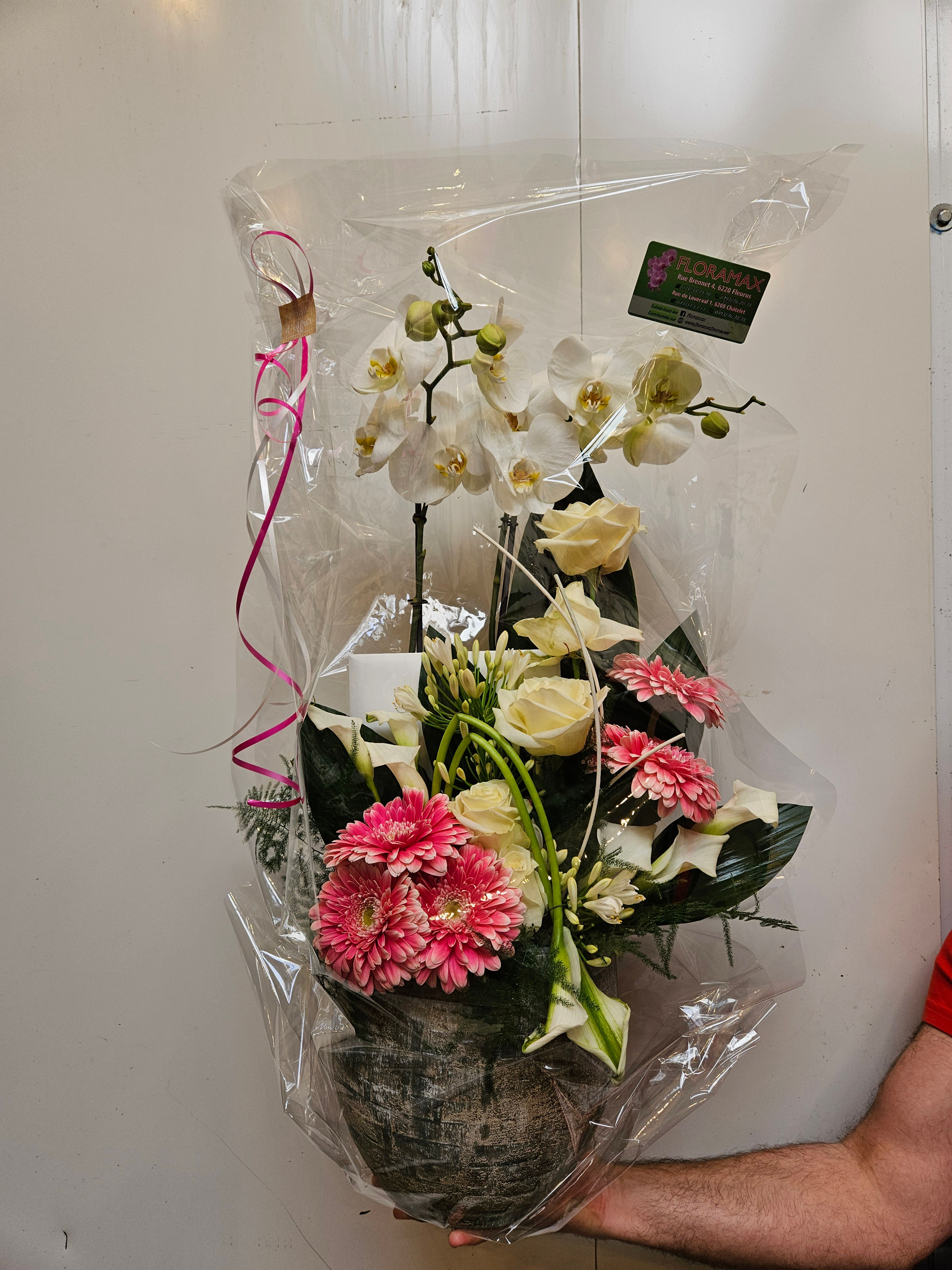 Montage phalaenopsis et fleurs