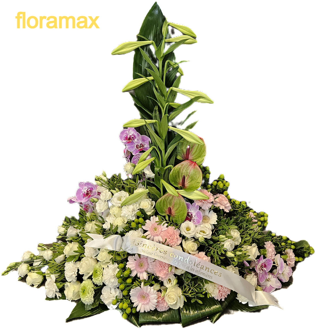 Pied de tombe Blanc / Rose (CN06)