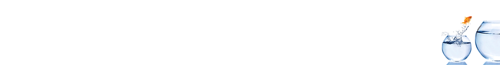 512 Goldfish Bowl V02 (1).png