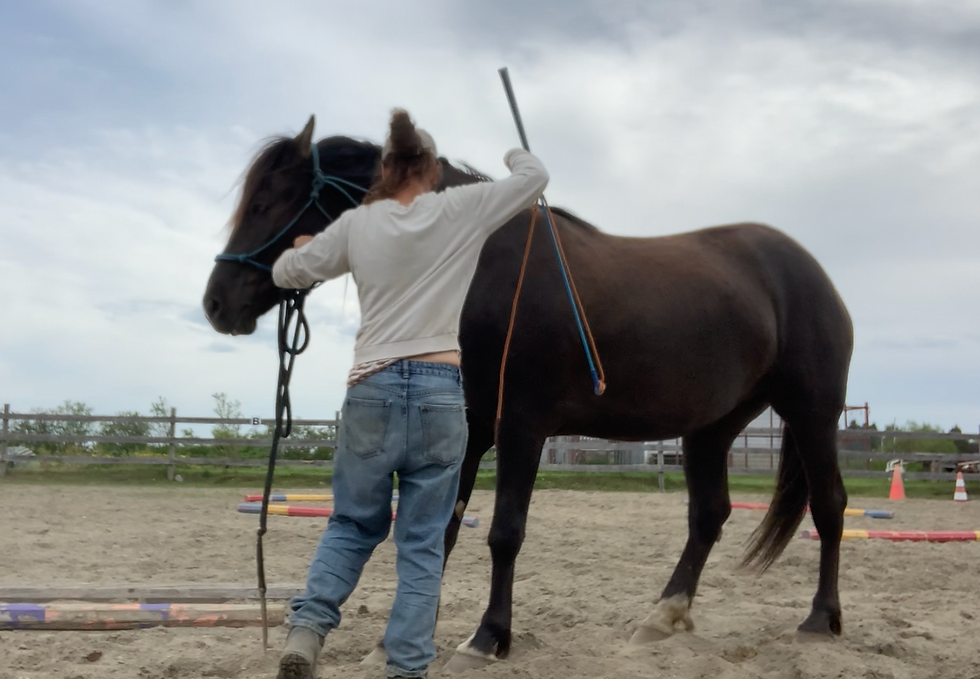 Miniature : Services d'éducation