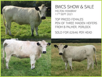 BWCS Autumn Show & Sale Melton Mowbray