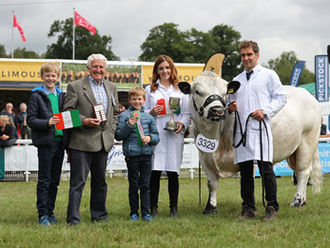 Castleton and Dallyashes top Royal Welsh Show placings