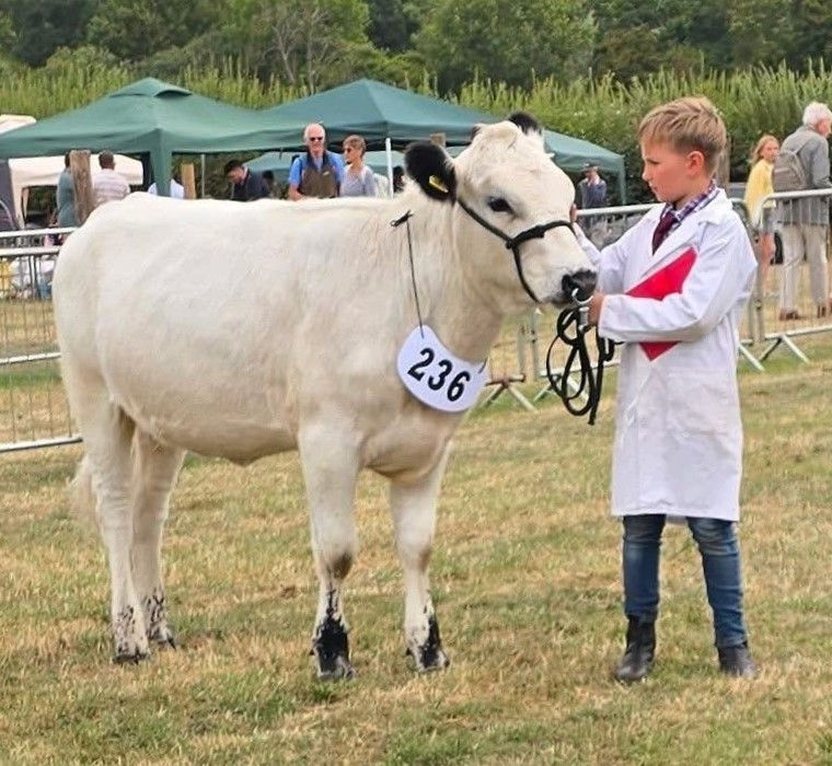Show Results: Honiton