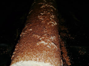 Bûche aux 3 chocolats