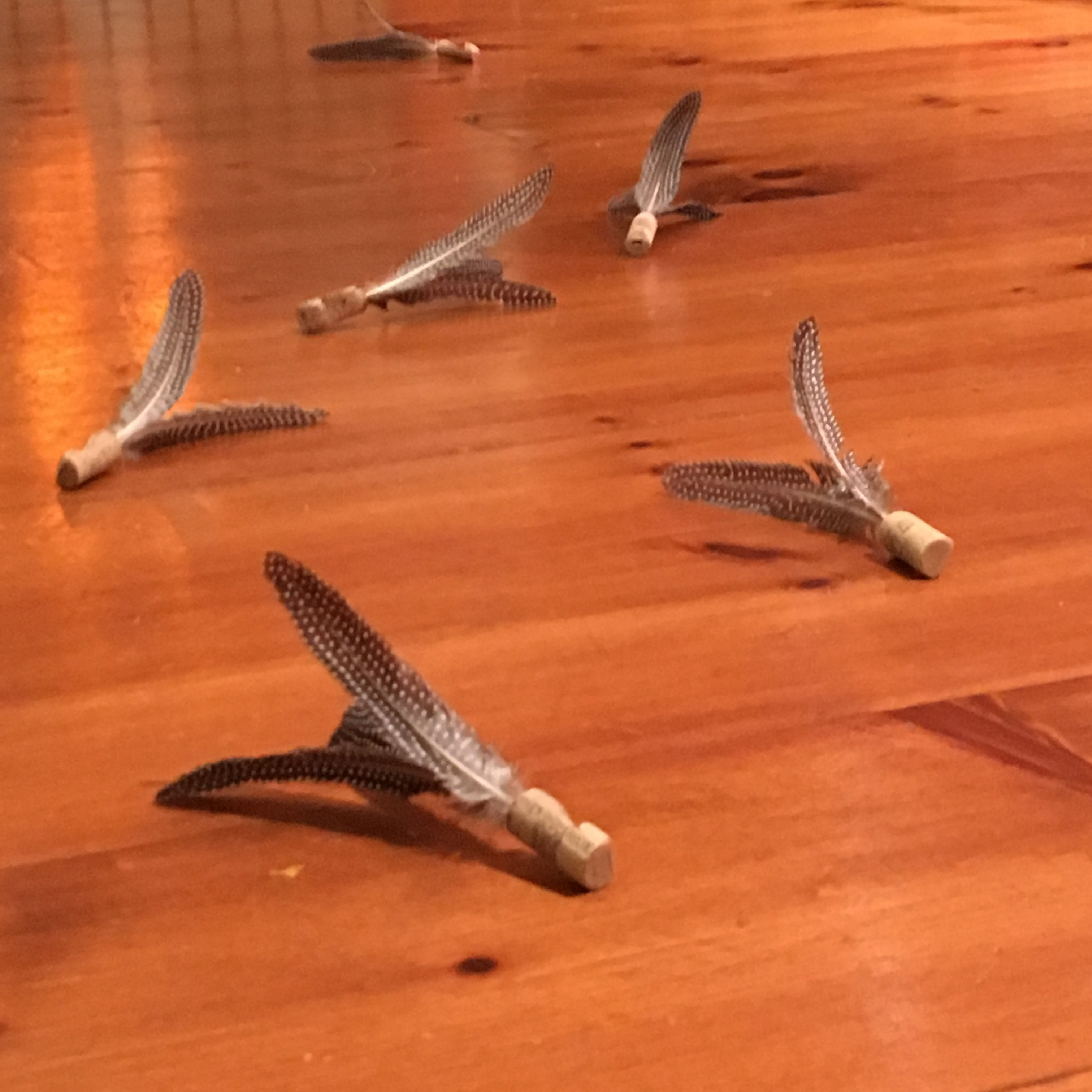 Catapult Bird Refill - 3 pack