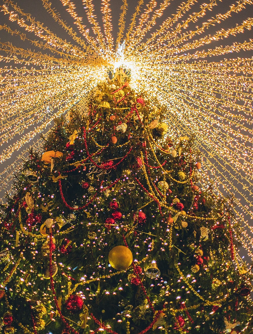 Melbourne's Christmas Wonderland