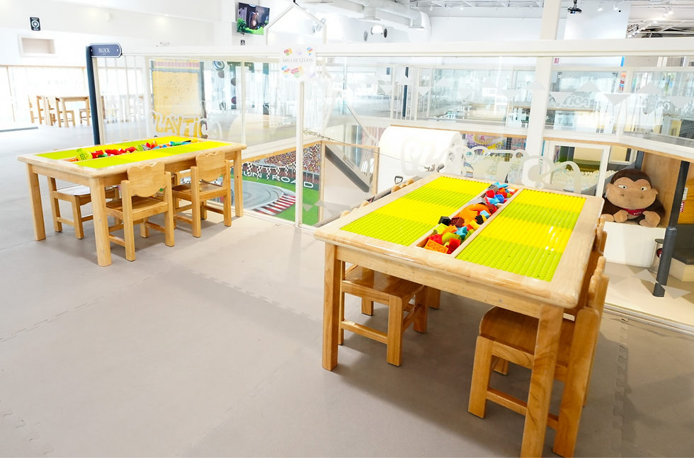 Lego Zone