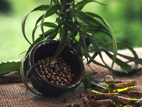 Moje cesta k přírodním produktům, CBD a proč mi dnes dává smysl Zelená země