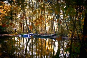 Steinfurt Bagno Park 1022 (4).jpeg