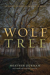Wolf Tree- An Ecopsychological Memoir in Essays