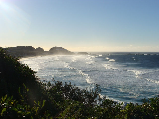 Ocean beauty