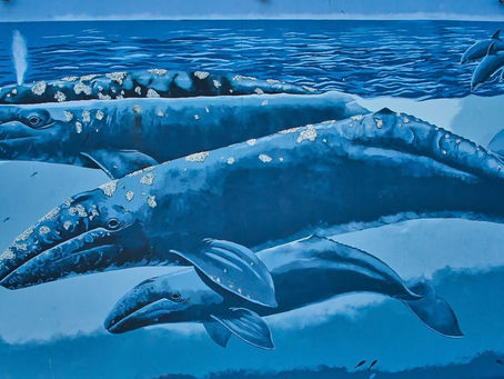 Painted Over: What Canadian Law Says About Destroying Someone Else's Art