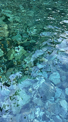 20240818_164709_5F8A92.jpeg