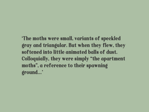 The Moths 