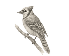 Untitled design (16).png