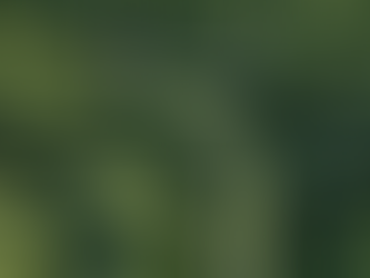 Discover the Power of Living Your Best Life Today