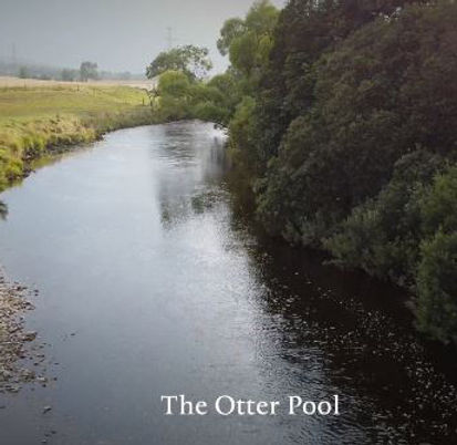 Otter Pool