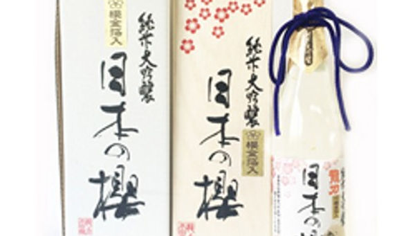 TATSURIKI NIHONNO SAKURA WITH GOLD SAKURA LEAVES