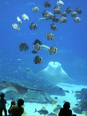 Aquarium