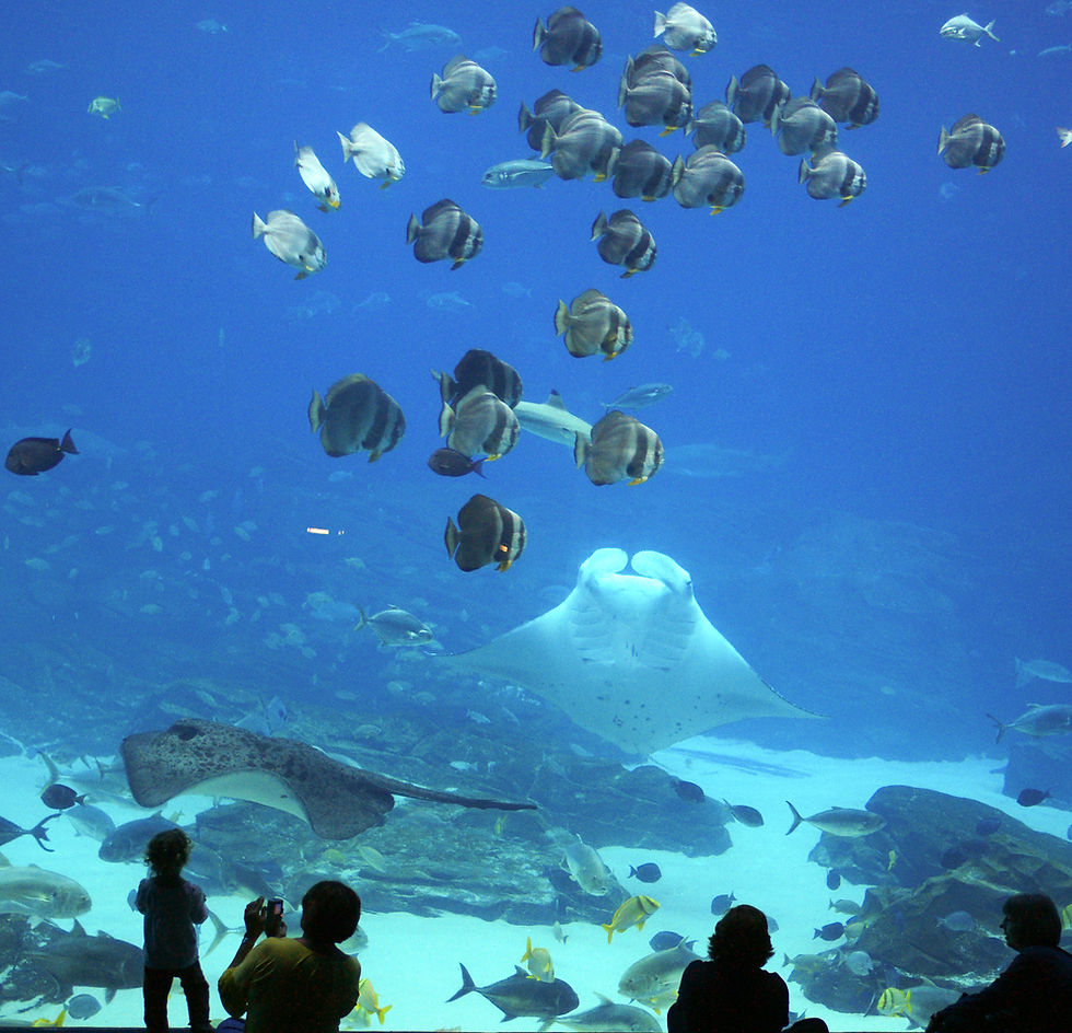 Aquarium