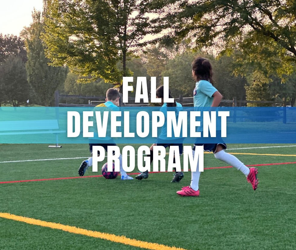Fall Development.jpg