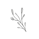 Untitled design-36_edited.png