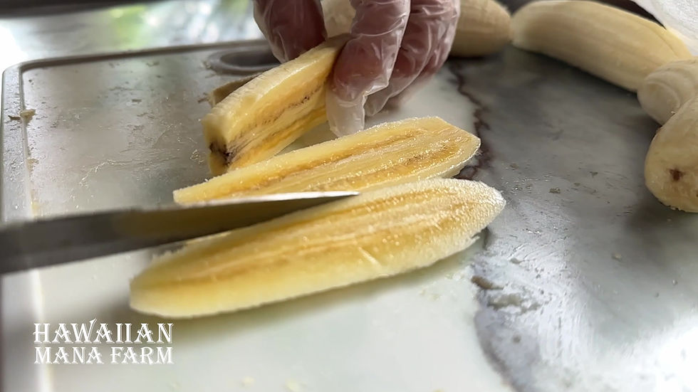 Thumbnail: Dehydrated Apple-Bananas