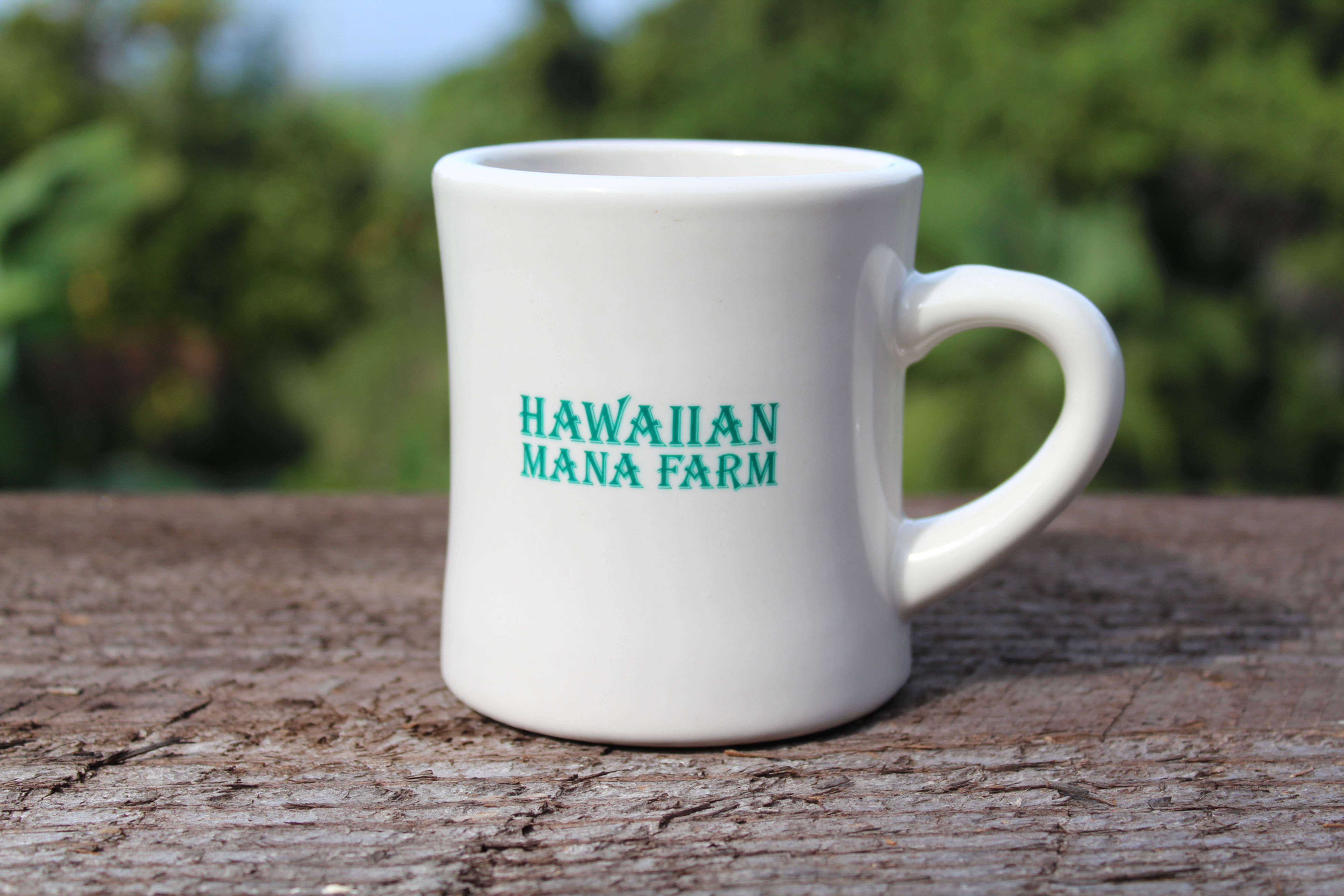 10oz Classic Coffee Mug