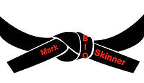 bioMarkSkinnerbutton.jpg