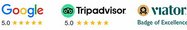 Five-star review badges from Google, Tripadvisor, Viator, and Airbnb for Tom's New York food tours