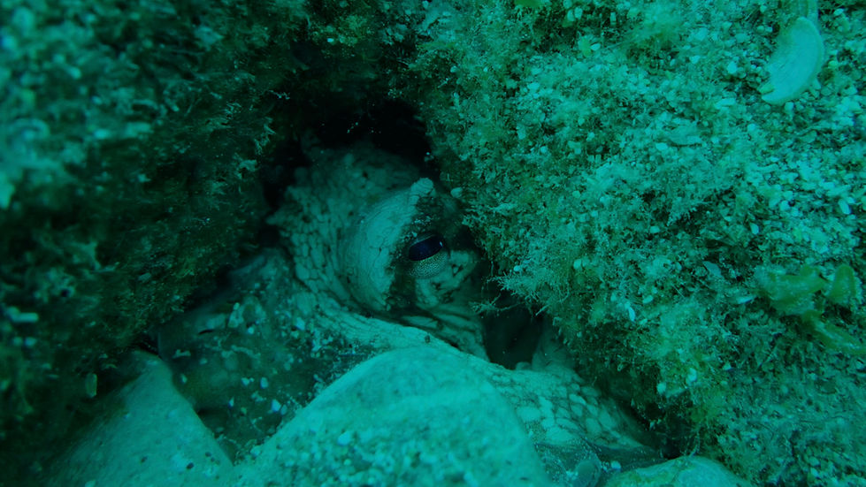 P8190292