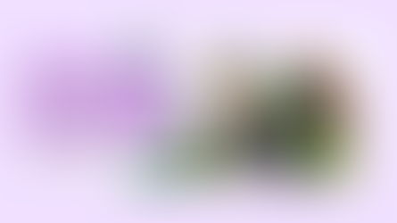 Formula One Gifts Christmas Driver