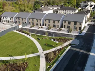 Soil Cell Systems: The Best Choice for Urban Trees in Ireland