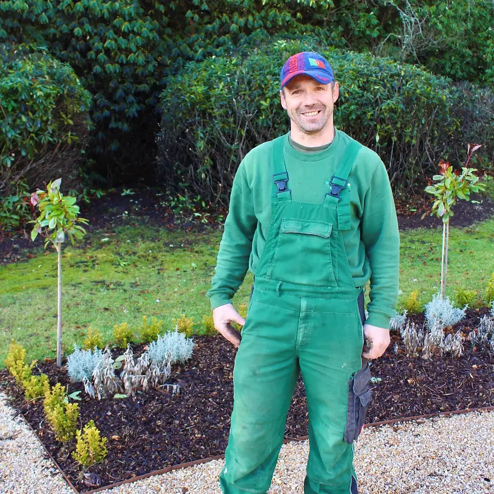 Mario Carlvaho, Gardener