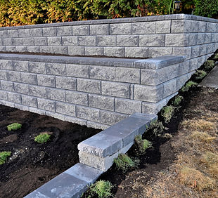 A New Design (3).jpg