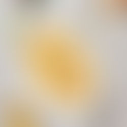 CheF Photo 0045
