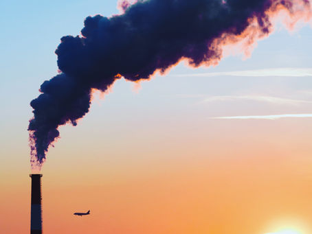 Environmental Exposures & Toxicity: The Hidden Influences on Mood and Mental Health