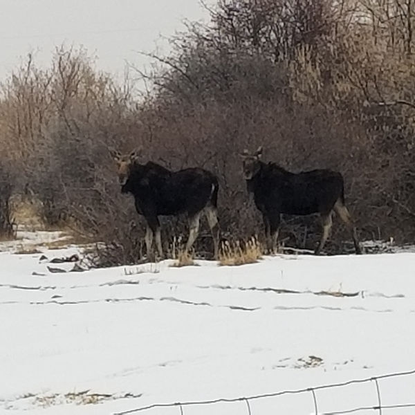 20190115_164932.jpg