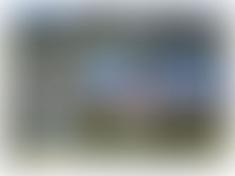 Gesuchte TOPLAGE in Seevetal Hittfeld - Emmelndorf bei Hamburg! Jugendstilvilla mit Nebengebäude zu kaufen!