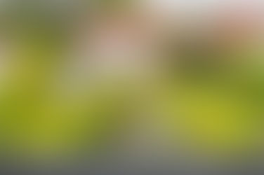 VERKAUFT!!! Jung & TOP gepflegt mit ca. 170 qm Wohn-/Nutzfläche & wunderschönem Weitblick in