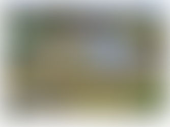 TOPLAGE in 21218 Seevetal Hittfeld bei Hamburg: Ca. 6.531 m² großes Baugrundstück für Villa, Einfamilienhäuser & Doppelhäuser! Projektentwickler und Investoren aufgepasst!