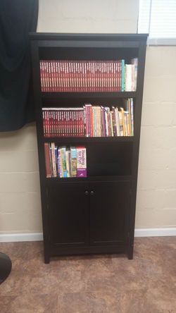 Children's section of Library Pekin